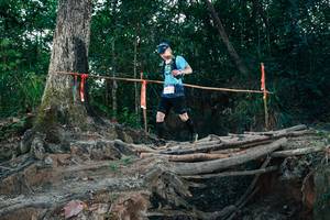 BIB: 
                            <button type="button" onclick="openModal(27317699)" class="btn btn-primary btn-sm float-right btn-popup" data-toggle="modal" data-target=".modal-high-quality">
                        <i class="fas fa-shopping-cart"></i> Add to Cart
                    </button>
                                            <button type="button" onclick="isThisMe(27317699, true)" class="btn btn-success btn-sm float-right btn-popup btn-isme hidden" data-toggle="tooltip" data-placement="bottom" title="นี่คือรูปของคุณใช่ไหม คลิกที่นี่เพื่อเอาเข้าอัลบั้ม">
                        <i class="fas fa-plus"></i> Add to album
                    </button>
                    <button type="button" onclick="isThisMe(27317699, false)" class="btn btn-warning btn-sm float-right btn-popup btn-isnotme hidden">
                        <i class="fas fa-ban"></i> Remove from album
                    </button>